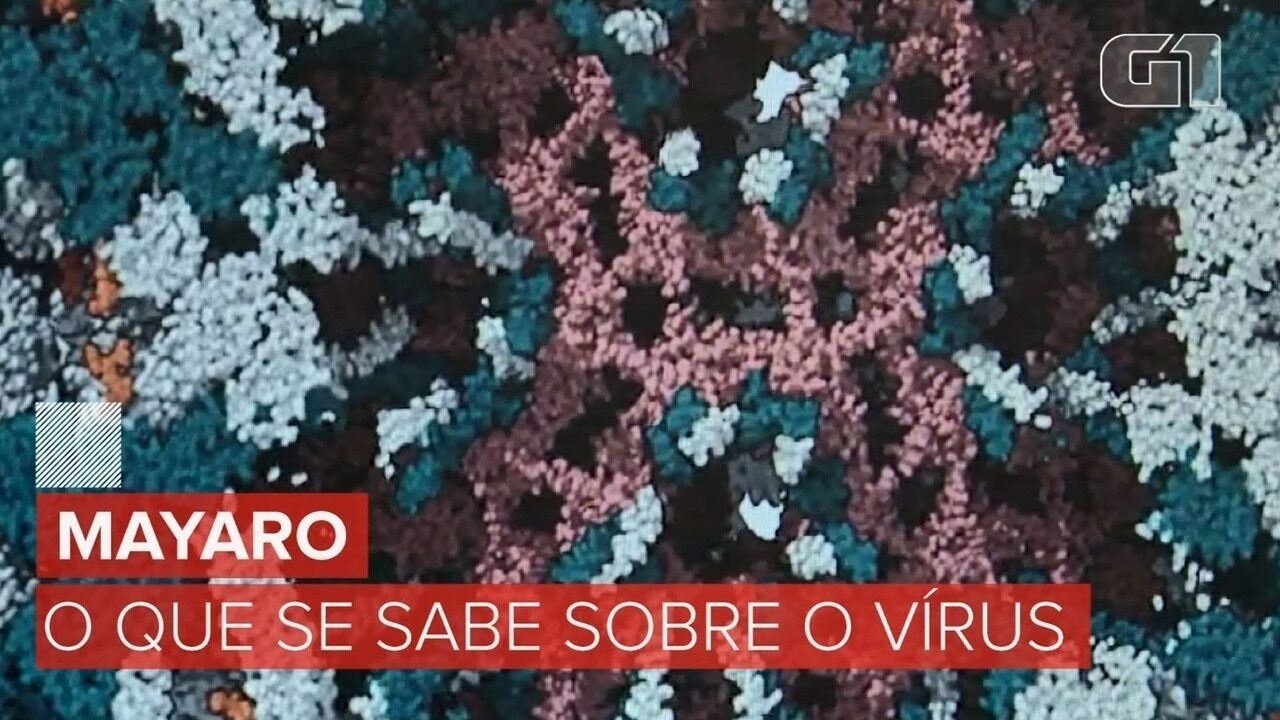 Mayaro e o que mais? Unicamp aponta possível transmissão urbana do vírus em Roraima e vê indícios de novas ameaças | Campinas e Região
